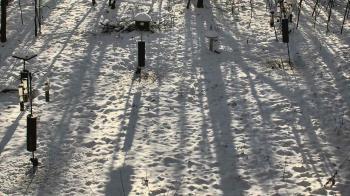 Weather camera view of Cincinnati Nature Center.