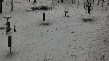 Weather camera view of Cincinnati Nature Center.