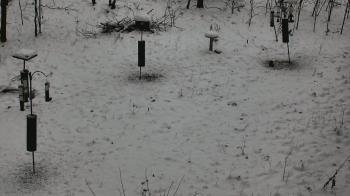 Weather camera view of Cincinnati Nature Center.