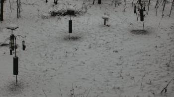 Weather camera view of Cincinnati Nature Center.