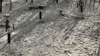 Weather camera view of Cincinnati Nature Center.