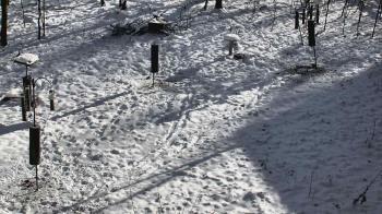 Weather camera view of Cincinnati Nature Center.