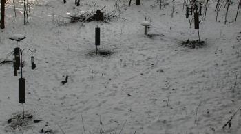 Weather camera view of Cincinnati Nature Center.
