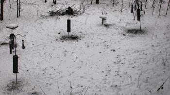 Weather camera view of Cincinnati Nature Center.
