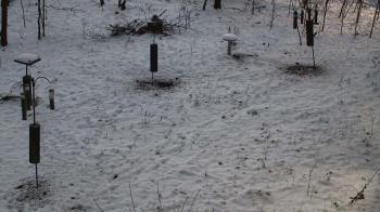 Weather camera view of Cincinnati Nature Center.