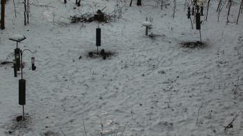 Weather camera view of Cincinnati Nature Center.