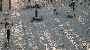 Weather camera view of Cincinnati Nature Center.