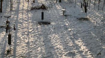 Weather camera view of Cincinnati Nature Center.