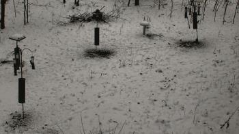 Weather camera view of Cincinnati Nature Center.