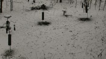 Weather camera view of Cincinnati Nature Center.
