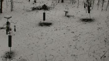 Weather camera view of Cincinnati Nature Center.