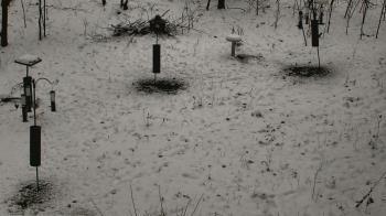 Weather camera view of Cincinnati Nature Center.