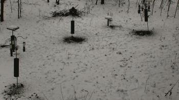 Weather camera view of Cincinnati Nature Center.