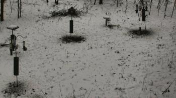 Weather camera view of Cincinnati Nature Center.