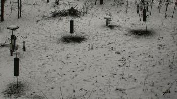 Weather camera view of Cincinnati Nature Center.