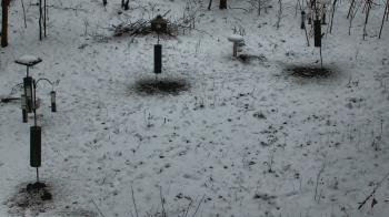 Weather camera view of Cincinnati Nature Center.