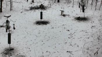 Weather camera view of Cincinnati Nature Center.