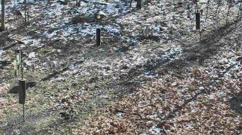 Weather camera view of Cincinnati Nature Center.
