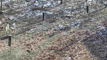 Weather camera view of Cincinnati Nature Center.