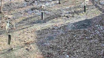 Weather camera view of Cincinnati Nature Center.