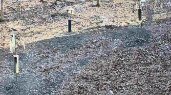 Weather camera view of Cincinnati Nature Center.