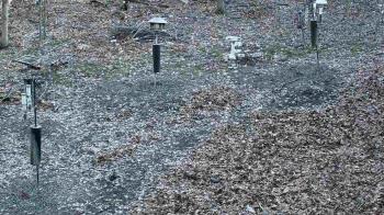 Weather camera view of Cincinnati Nature Center.