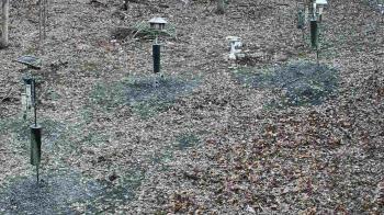 Weather camera view of Cincinnati Nature Center.