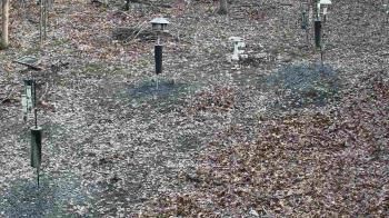 Weather camera view of Cincinnati Nature Center.