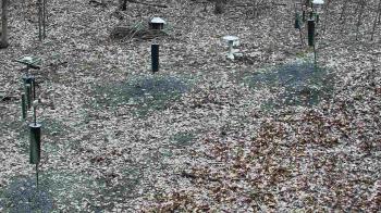 Weather camera view of Cincinnati Nature Center.