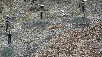 Weather camera view of Cincinnati Nature Center.