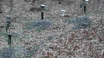 Weather camera view of Cincinnati Nature Center.