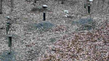 Weather camera view of Cincinnati Nature Center.