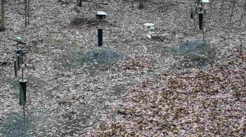 Weather camera view of Cincinnati Nature Center.