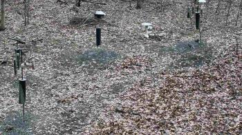 Weather camera view of Cincinnati Nature Center.