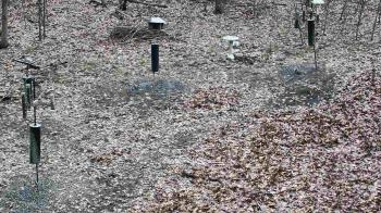 Weather camera view of Cincinnati Nature Center.