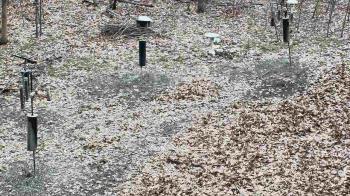 Weather camera view of Cincinnati Nature Center.