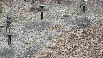 Weather camera view of Cincinnati Nature Center.