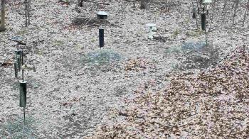 Weather camera view of Cincinnati Nature Center.