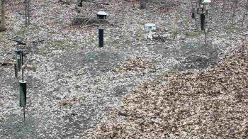 Weather camera view of Cincinnati Nature Center.