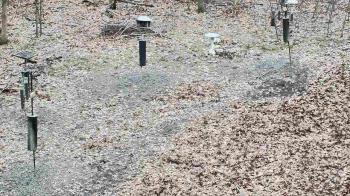 Weather camera view of Cincinnati Nature Center.