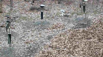 Weather camera view of Cincinnati Nature Center.