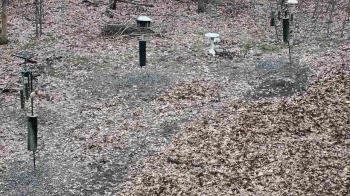 Weather camera view of Cincinnati Nature Center.