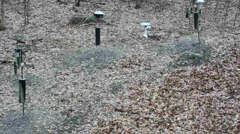 Weather camera view of Cincinnati Nature Center.