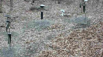Weather camera view of Cincinnati Nature Center.
