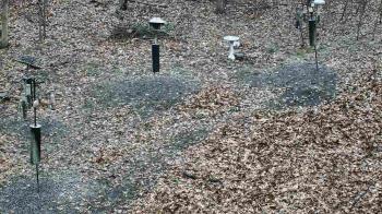 Weather camera view of Cincinnati Nature Center.