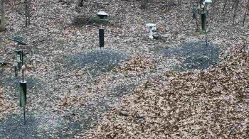 Weather camera view of Cincinnati Nature Center.