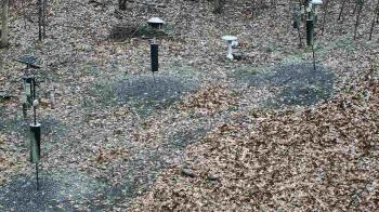 Weather camera view of Cincinnati Nature Center.