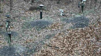 Weather camera view of Cincinnati Nature Center.