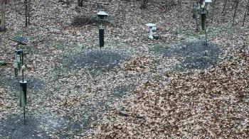 Weather camera view of Cincinnati Nature Center.