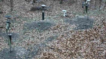 Weather camera view of Cincinnati Nature Center.
